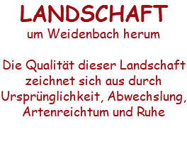 LANDSCHAFT um Weidenbach herum Die Qualität dieser Landschaft zeichnet sich aus durch Ursprünglichkeit, Abwechslung, Artenreichtum und Ruhe 