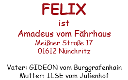 FELIX ist Amadeus vom Fährhaus Meißner Straße 17 01612 Nünchritz Vater: GIDEON vom Burggrafenhain Mutter: ILSE vom Julienhof