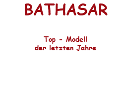 BATHASAR Top - Modell der letzten Jahre